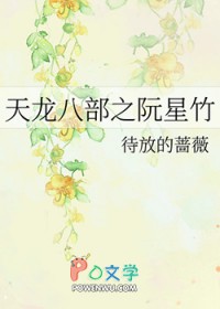 天龙八部之乔峰传解说